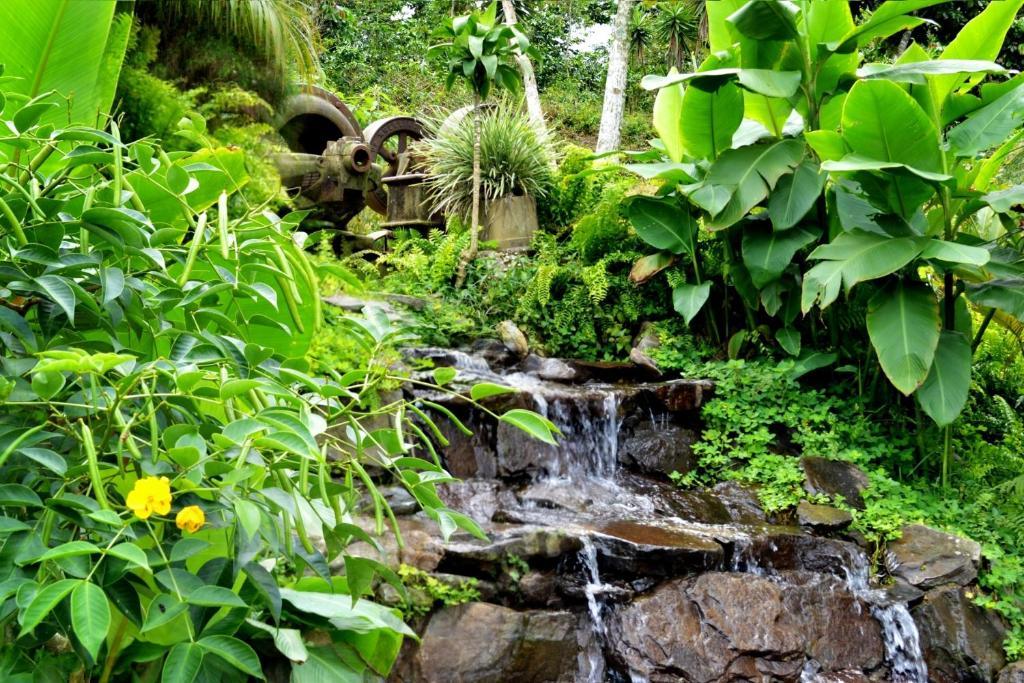 Finca Hamburgo La Ruta Del Cafe Tuzantan エクステリア 写真